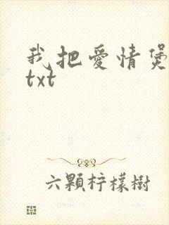 我把爱情煲成汤txt