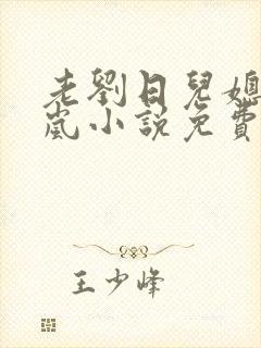 老刘日儿媳妇张岚小说免费阅读