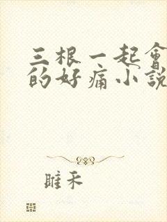 三根一起会坏掉的好痛小说