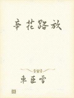 辛花路放