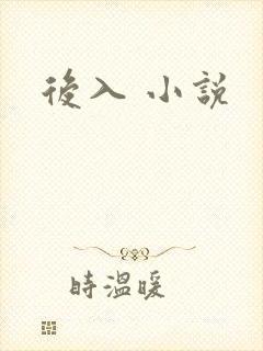 后入 小说