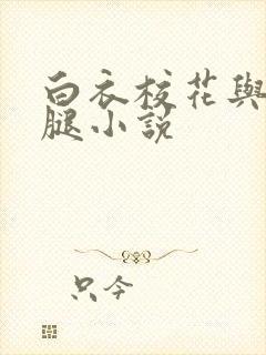 白衣校花与大长腿小说