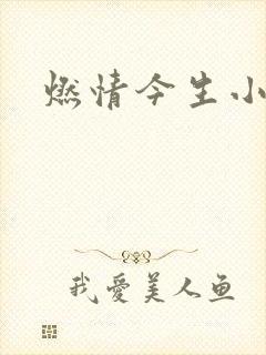 燃情今生小说