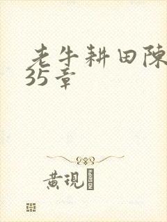 老牛耕田陈雪435章