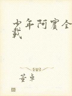 少年阿宾全集下载