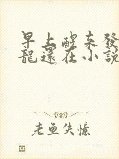 早上醒来发现巨龙还在小说