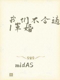 我们不合适1v1军婚