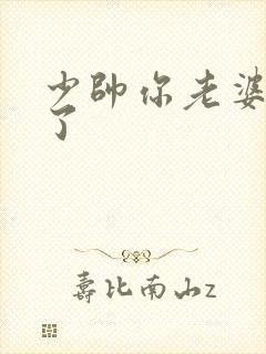 少帅你老婆又跑了