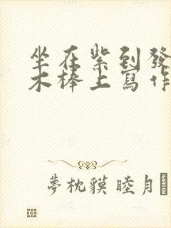 坐在紫到发黑的木棒上写作业