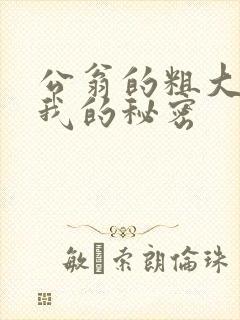 公翁的粗大放进我的秘密