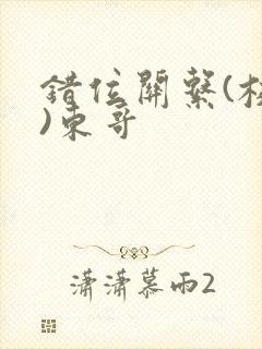 错位关系(校园)东哥