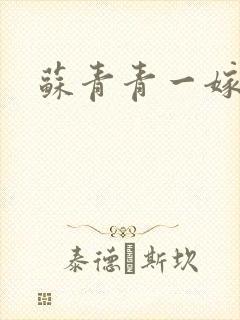 苏青青一嫁三夫