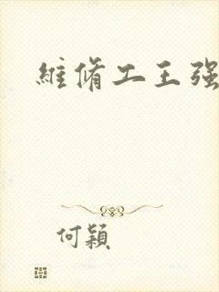 维修工王强张婷