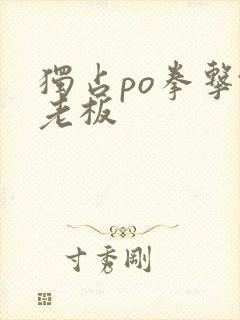 独占po拳击馆老板