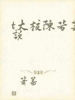 t大校陈若芸小说
