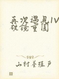 再次遇见1V1破镜重圆