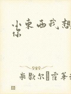 小东西我想弄坏你