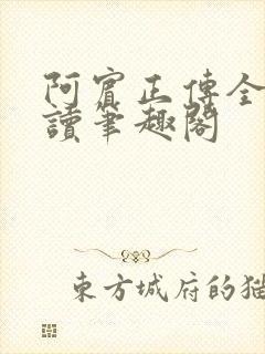 阿宾正传全文阅读笔趣阁