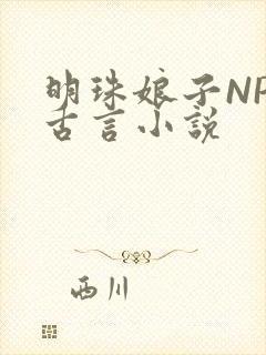 明珠娘子NPC古言小说