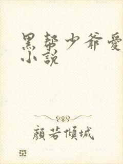 黑帮少爷爱上我小说