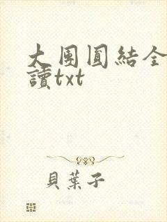 大团圆结全文阅读txt