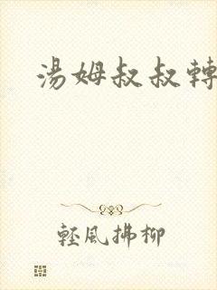 汤姆叔叔转接口