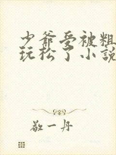 少爷受被粗汉H玩松了小说