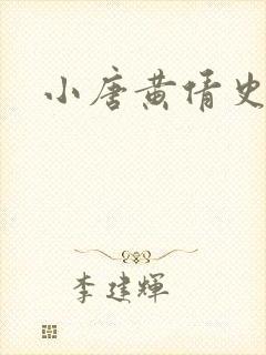 小唐黄倩史