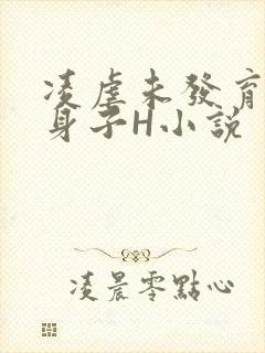 凌虐未发育的小身子H小说
