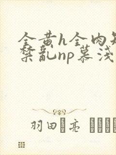 全黄h全肉短篇禁乱np慕浅浅