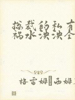 总裁的私有宝贝祸水泱泱全文阅读