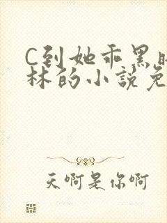 C到她乖黑暗森林的小说免费