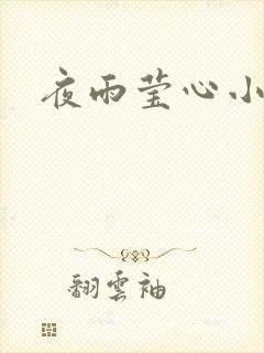 夜雨莹心小说