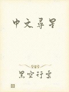 中文寻星