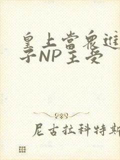 皇上当众进入太子NP主受