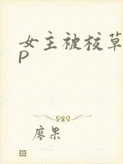 女主被校草们NP