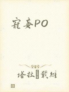 宠妾PO