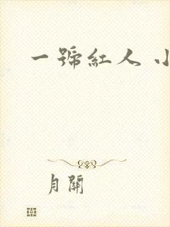 一号红人 小说