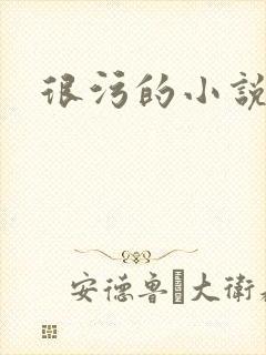 很污的小说