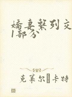 娇妻系列交换11部分