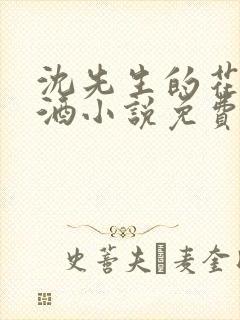 沈先生的花式调酒小说免费阅读