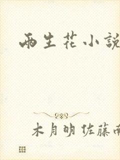 两生花小说