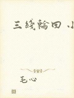 三线轮回 小说