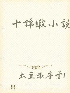 十锦缎小说