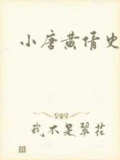 小唐黄倩史