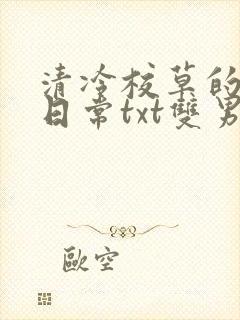 清冷校草的抹布日常txt双男主