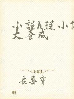 小说h从小做到大养成