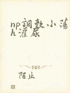 np调教小荡货h灌尿