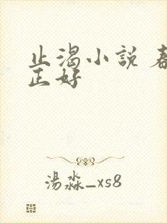 止渴小说 春光正好