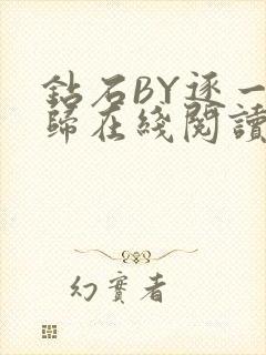 钻石BY逐一而归在线阅读